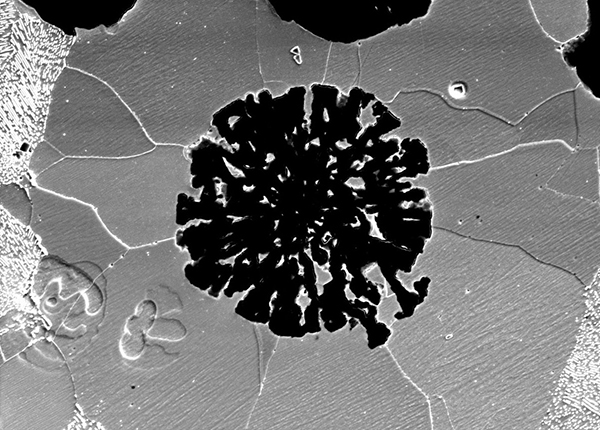 A black and white microscope image of a virus-like black particle A black and white microscope image of a virus-like black particle