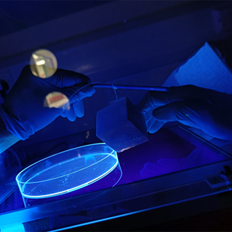 Researcher carrying out lab experiment under ultraviolet light Researcher carrying out lab experiment under ultraviolet light