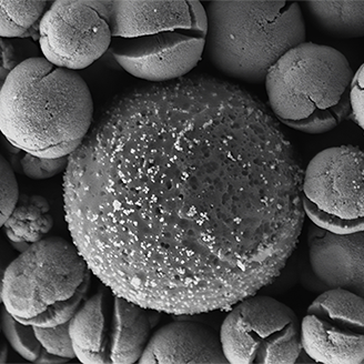 A black and white microscope image of a tiny microplastic molecule surrounded by little spheres with cracks like little mouths A black and white microscope image of a tiny microplastic molecule surrounded by little spheres with cracks like little mouths