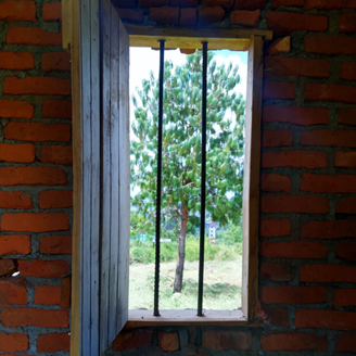 An open window with bars looking out to a tree An open window with bars looking out to a tree