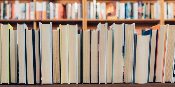 Books lined up on a shelf