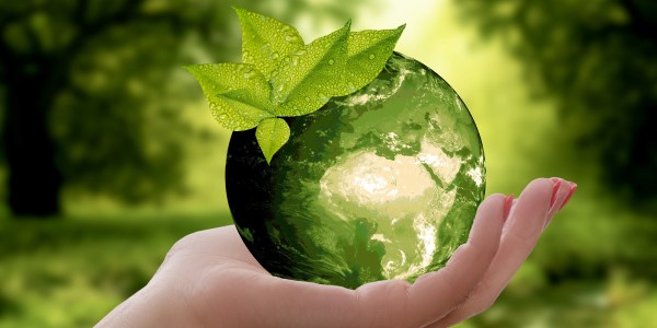 A hand holding the earth which is coloured green with leaves at the top
