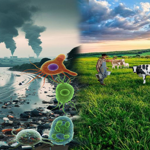 split screen showing amoebas down the middle with pollution and factory smoke on one side and green fields on the other split screen showing amoebas down the middle with pollution and factory smoke on one side and green fields on the other
