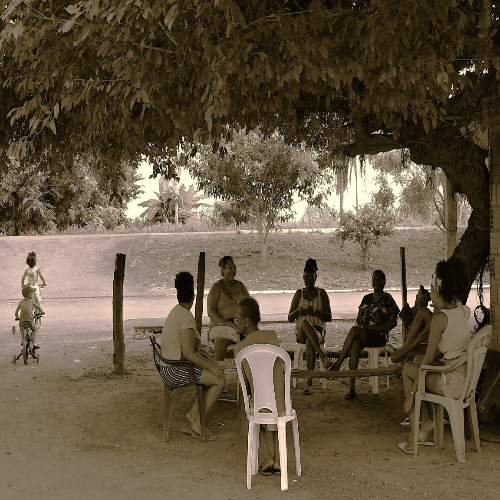 Black and white image of group of women sitting under a tree on chairs Black and white image of group of women sitting under a tree on chairs