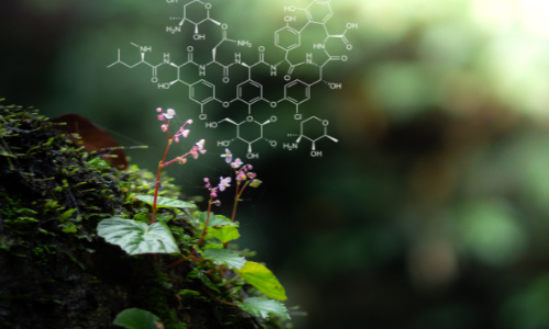 Green shoots on a green background with chemical symbols