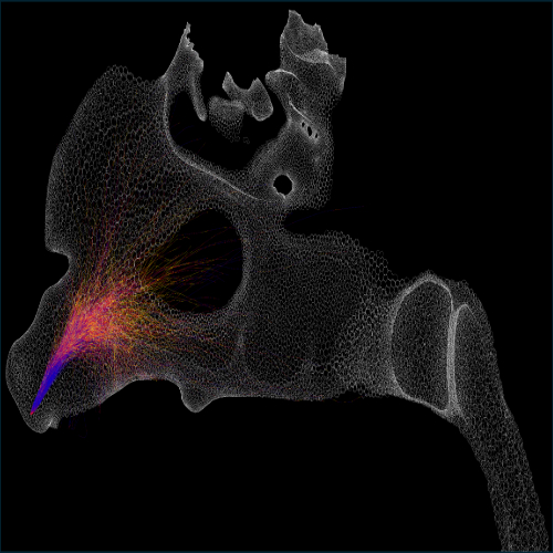Black background depicting nasal sprays Black background depicting nasal sprays