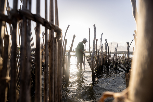 Photograph of man standing in ocean with fencing around him