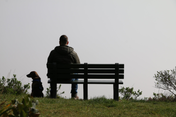 A photograph of a man sitting on a bench looking into the distance and a dog beside the bench looking to the left.  Image is taken from behin