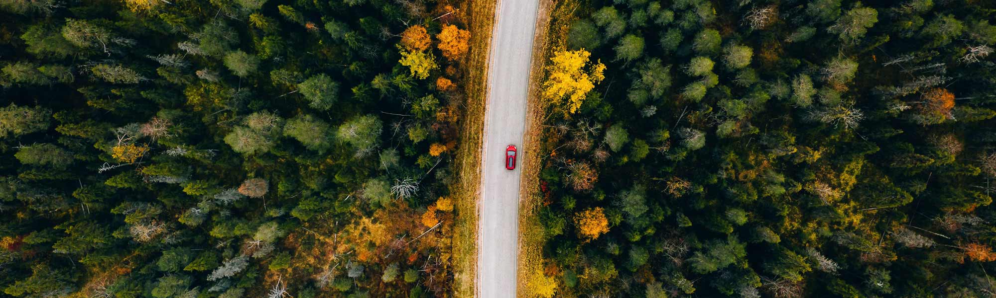 Aerial view of rural road in yellow and orange autumn forest Aerial view of rural road in yellow and orange autumn forest