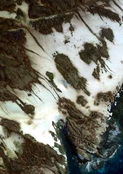 An aerial photograph of Heroina Island, host of over 500,000 Adlie penguins An aerial photograph of Heroina Island, host of over 500,000 Adlie penguins