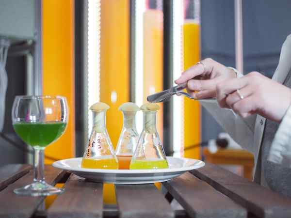 A diner uses a knife and fork to cut into a mushroom-shaped cork inside a glass beaker on a white plate with a glass of bright green liquid in a wine glass A diner uses a knife and fork to cut into a mushroom-shaped cork inside a glass beaker on a white plate with a glass of bright green liquid in a wine glass